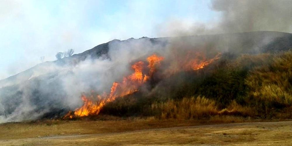 Incendio nel parco nazionale del Vesuvio