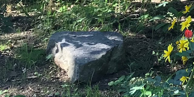 Pietra- Foto archivio FEDL