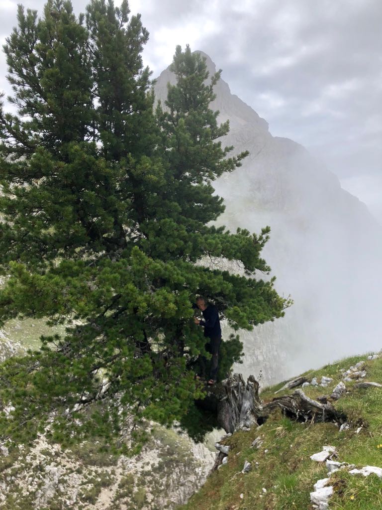 Foto Blog del 24.07.18