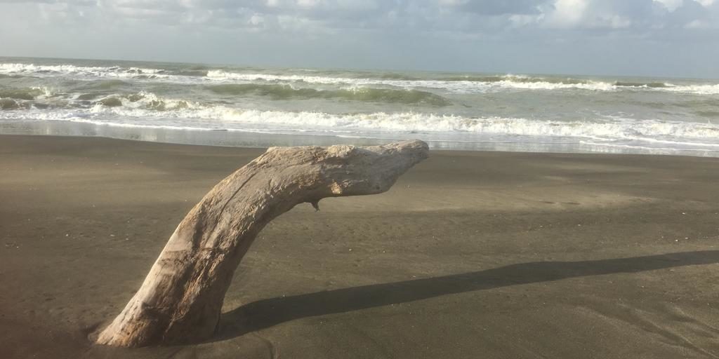 Foto Blog del 09.10.18