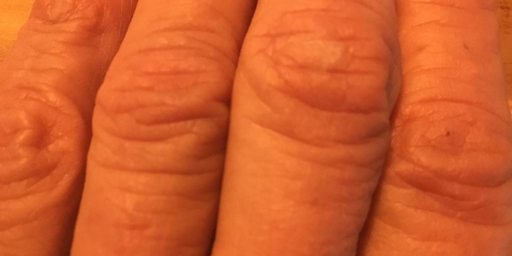 Foto Blog del 29.01.19