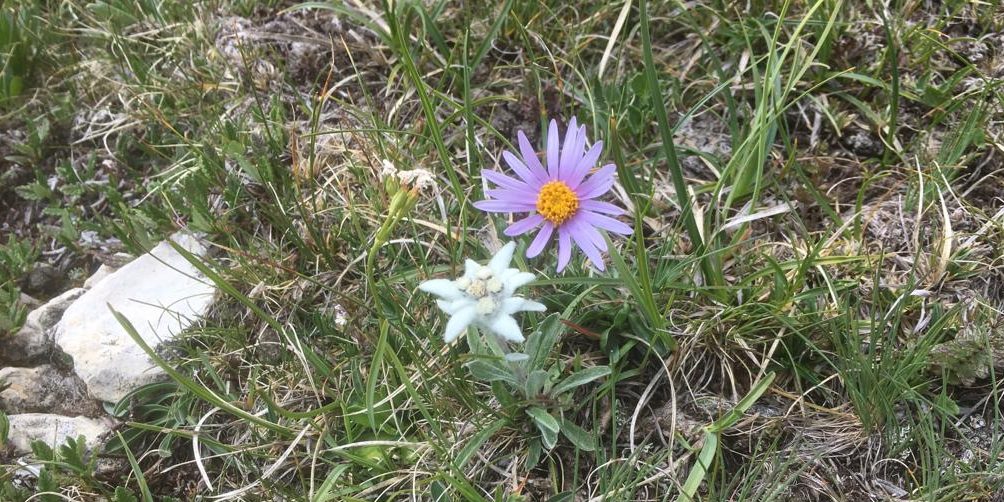 Foto Blog del 06.08.19