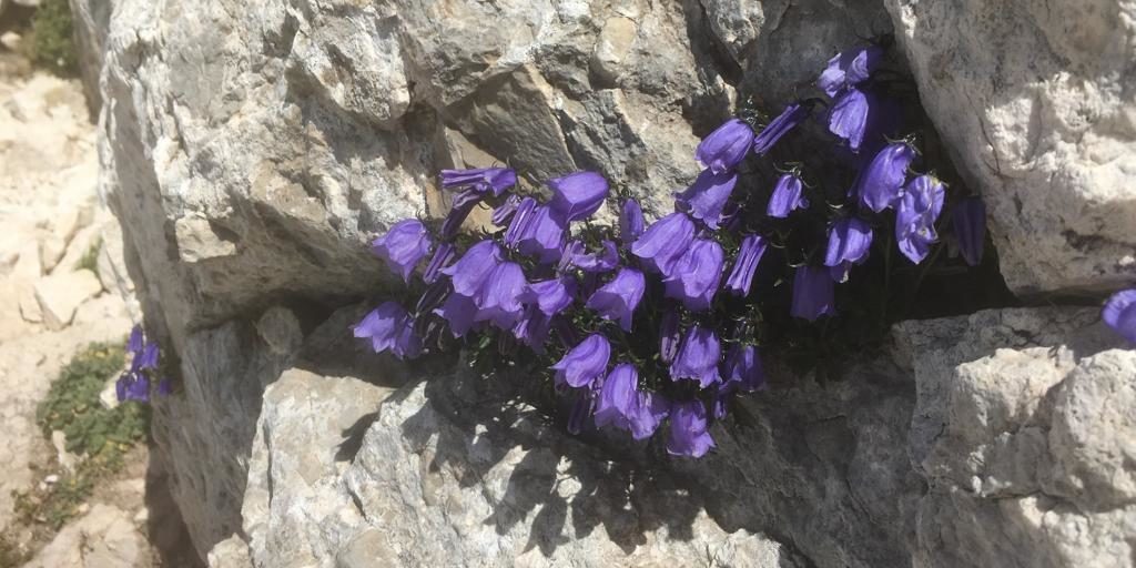 Foto Blog del 13.08.19