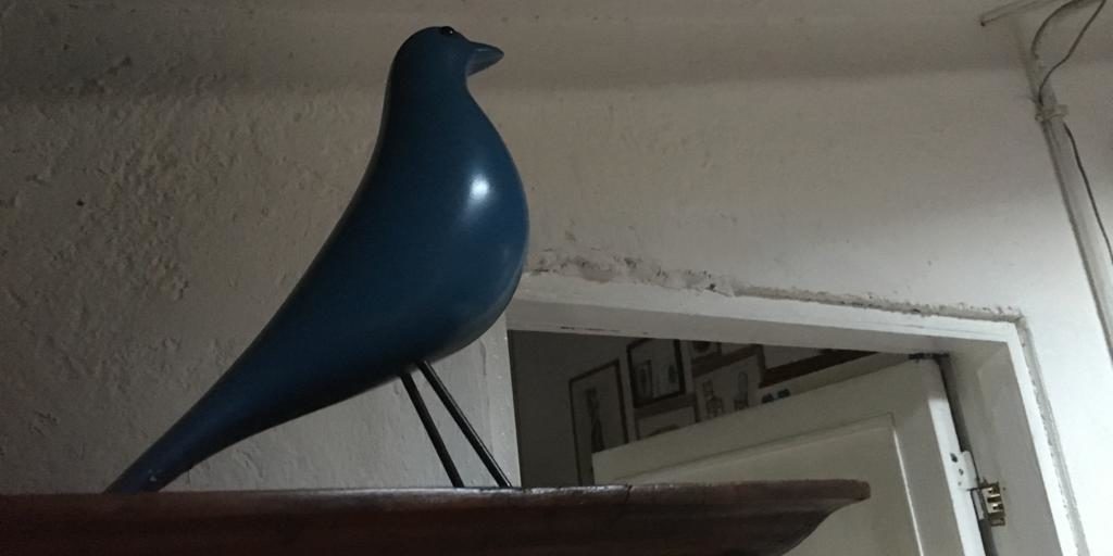 Foto Blog del 24.03.20