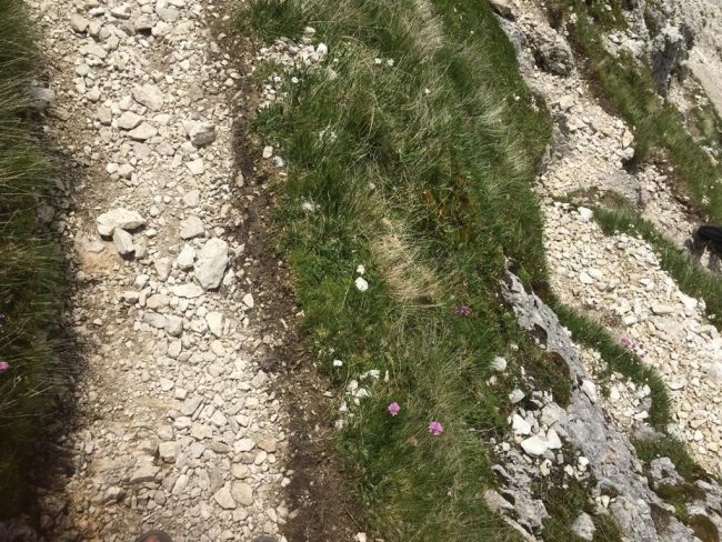 Foto Blog del 13.07.21