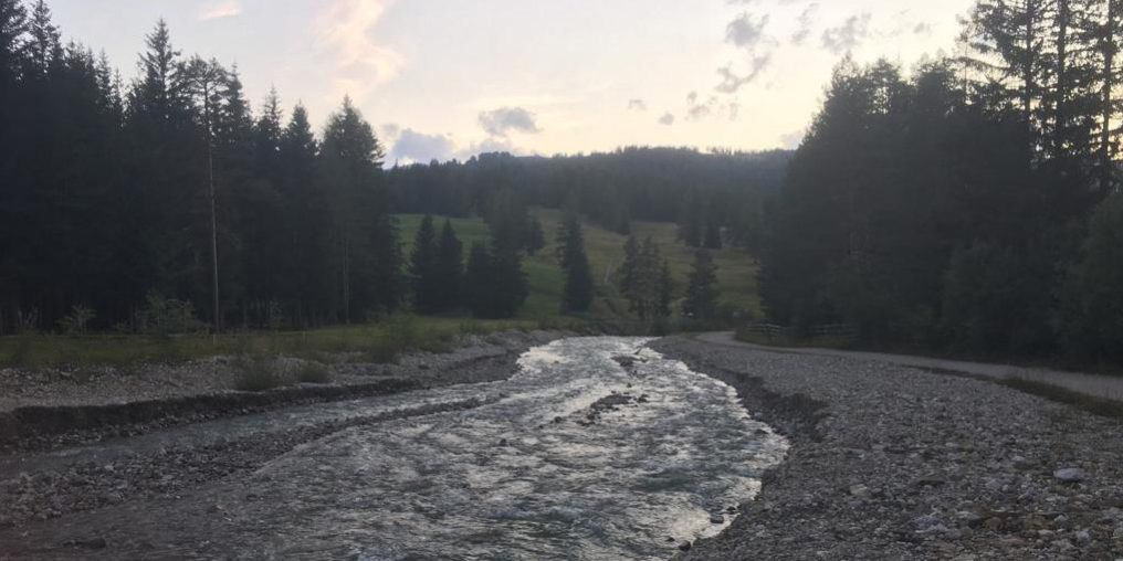 Foto Blog del 23.Nov.21