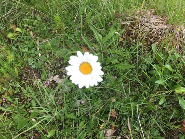 Foto Blog del 19.07.22