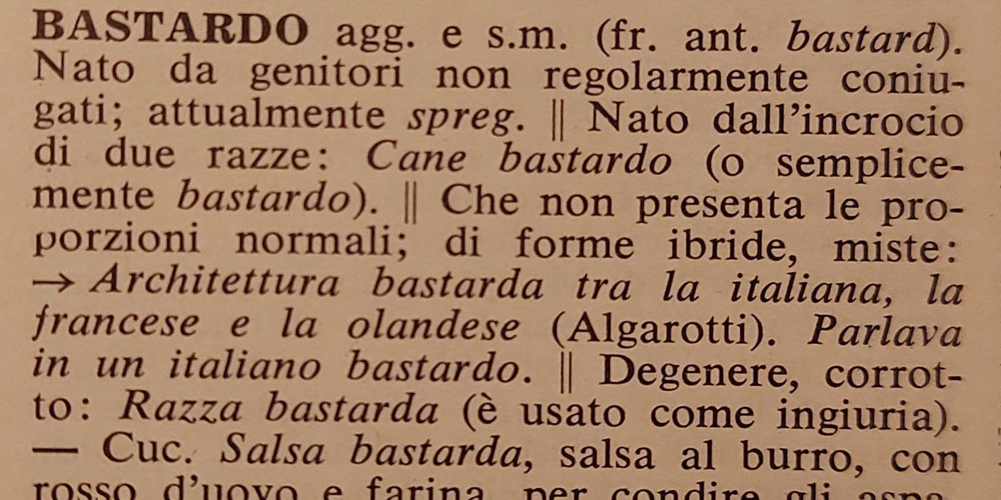 Bastardi Fondazione Erri De Luca