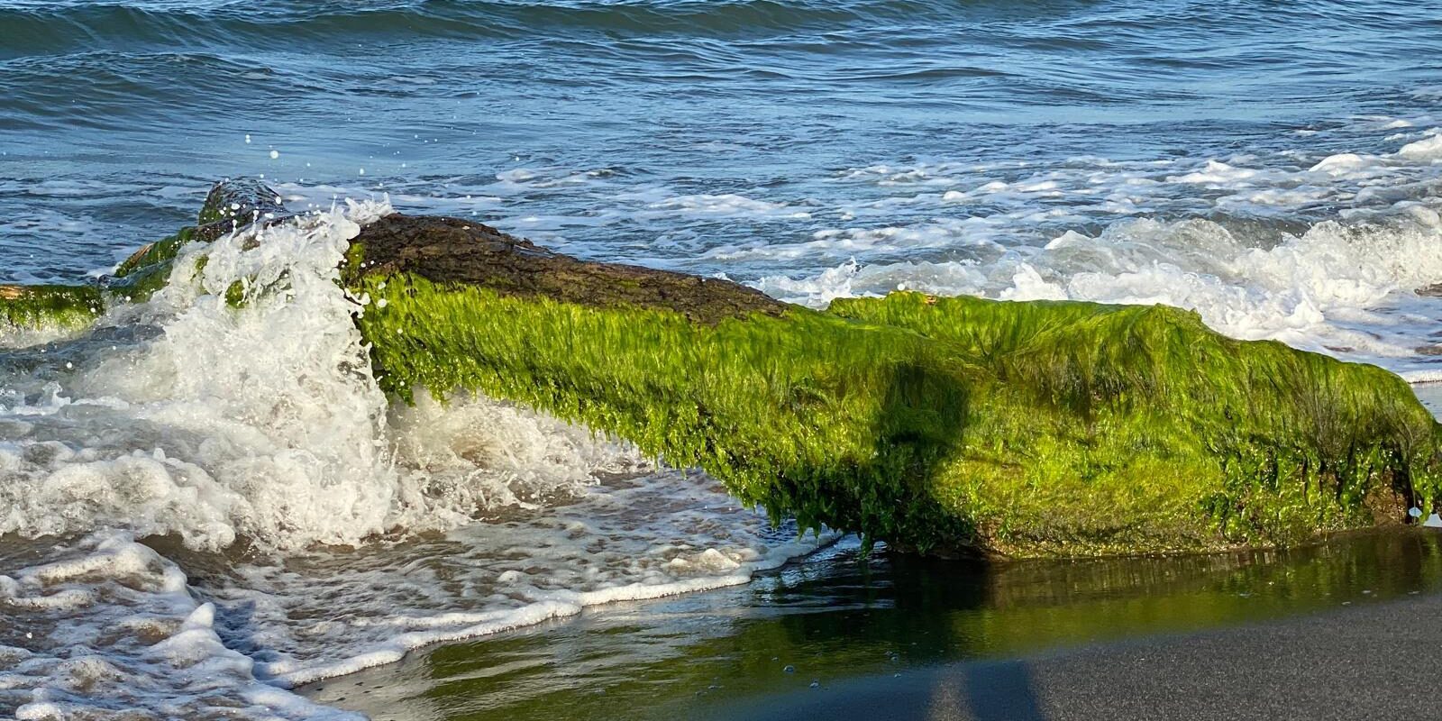 Foto Blog del 22.09.25