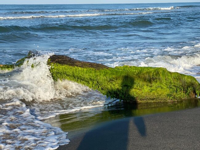 Foto Blog del 22.09.25