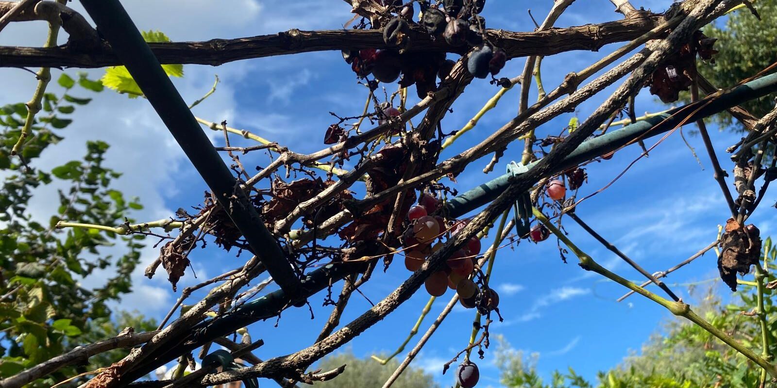 Foto Blog del 29.09.25