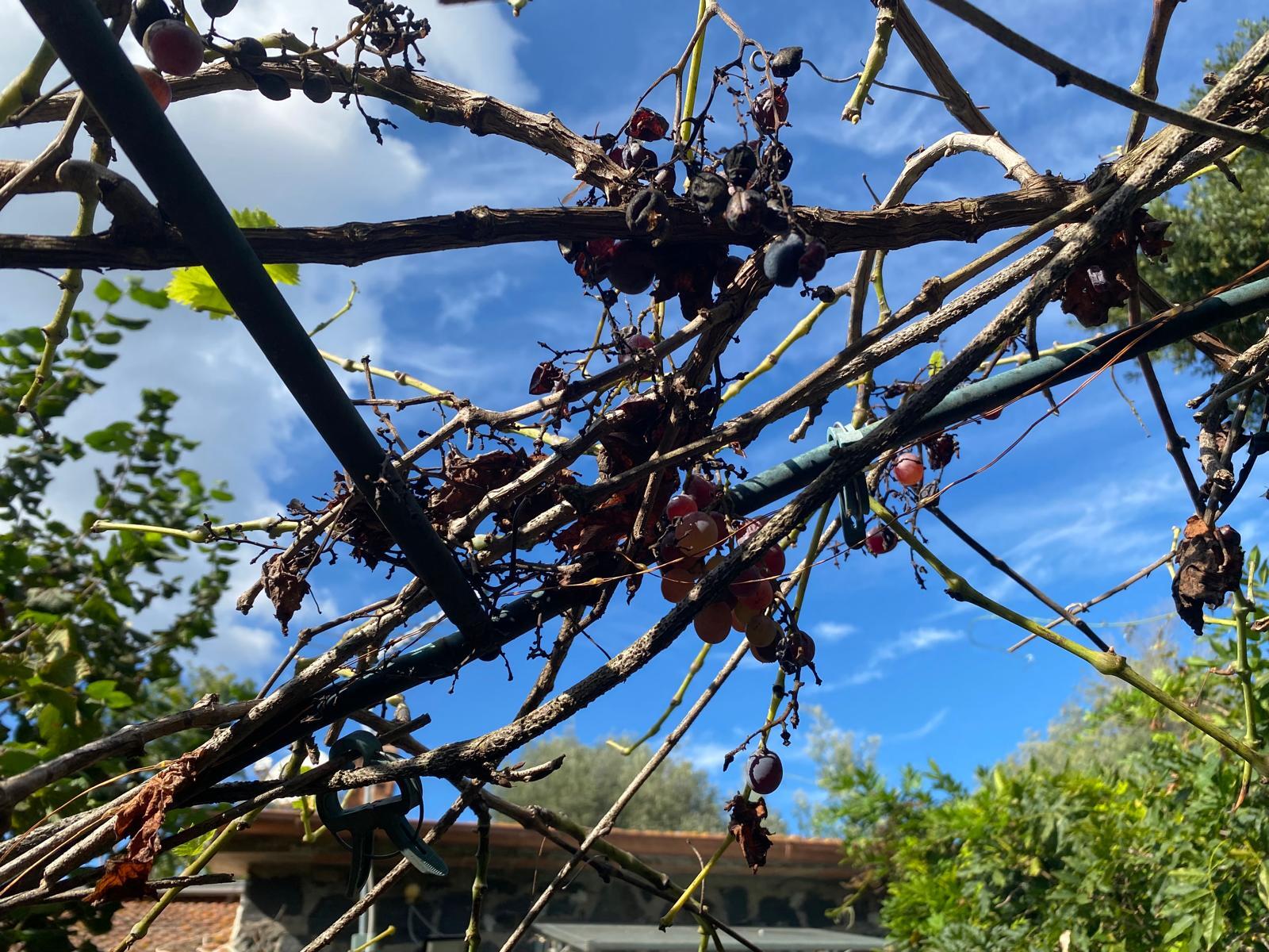 Foto Blog del 29.09.25