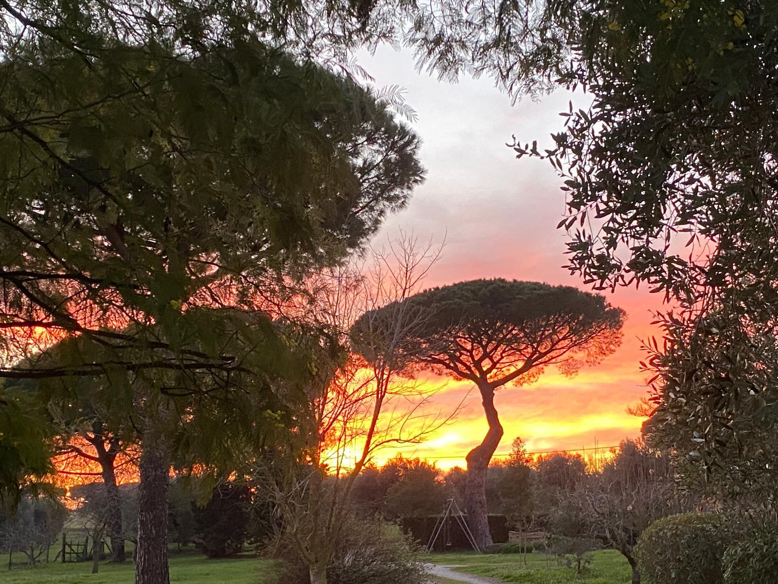 Foto blog del 24.11.25