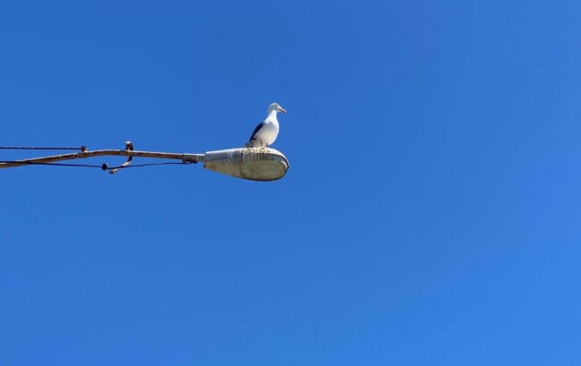 Foto Blog derl 15.12