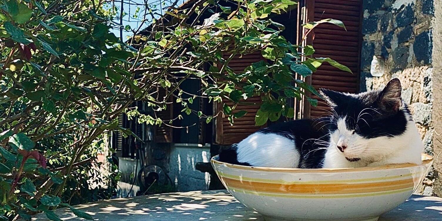 Foto Blog del 26.01.26