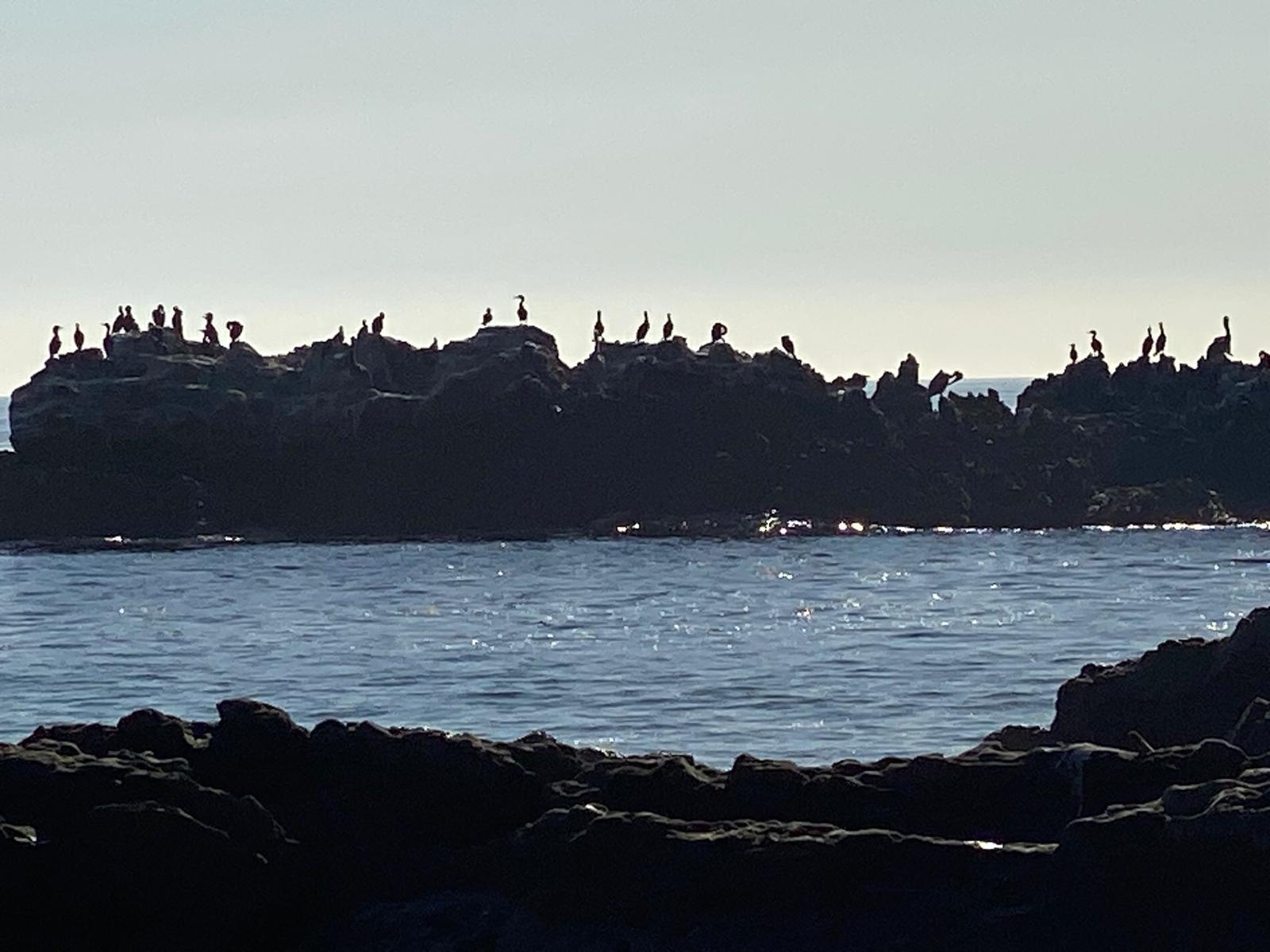 Foto Blog del 23.03.26